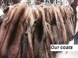 Our coats